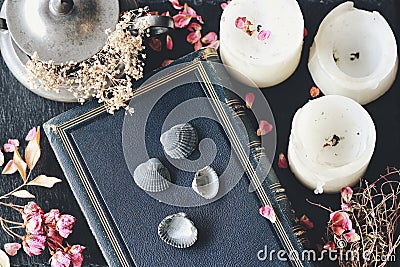 Divination using sea shells in hoodoo witchcraft practice on wiccan witch altar Stock Photo