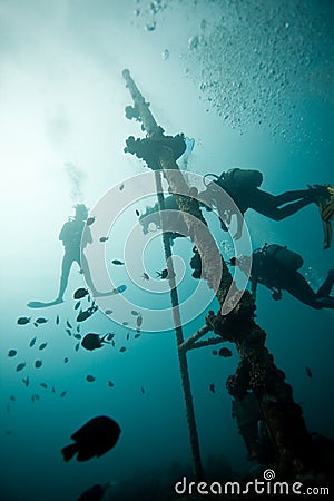 Diving Stock Photo