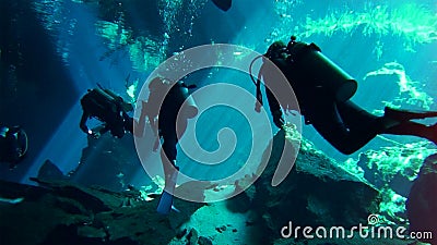 Diving in the Caribbean Sea, on the side of Cuba Stock Photo