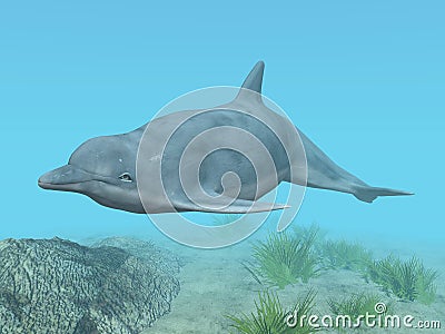 Diving Dolphin Cartoon Illustration