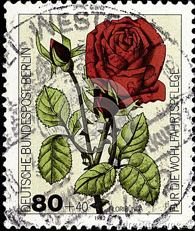 02 09 2020 Divnoe Stavropol Territory Russia the postage stamp Germany West Berlin 1982 Garden Roses Floribunda red rose Editorial Stock Photo