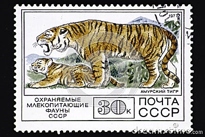 08 12 2019 Divnoe Stavropol Territory Russia postage stamps of the USSR 1977 series protected mammals of a USSR Editorial Stock Photo