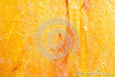 Divorces and paint drips red, orange, yellow blurred abstract Stock Photo