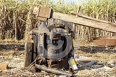 Traditional machine crushing sugarcane juice by buffaloes. Editorial Stock Photo