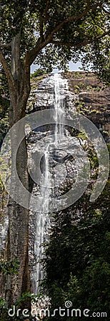 Diyaluma falls in Koslanda, Tall tree in foreground verticle photograph Stock Photo
