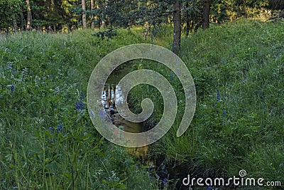 Dlouha Stoka creek in forest in Slavkovsky les Stock Photo