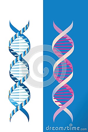 DNA Vector Illustration