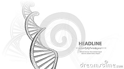 DNA. Abstract 3d polygonal wireframe dna molecule helix spiral on white background. Vector Illustration