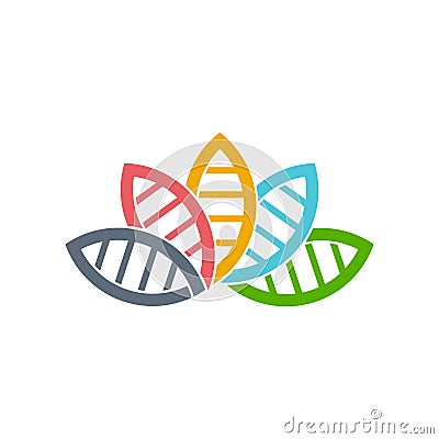 DNA Biology group of leaves logo. Vector Illustration