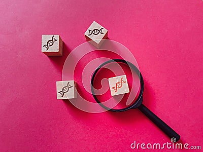 DNA chain icon on wooden cubes with magnifier. Mutations and genetic study concept. Stock Photo