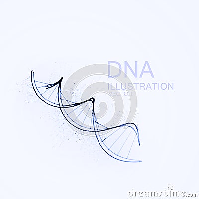 DNA chain vector illustration. Vector Illustration