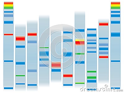 Dna clear Vector Illustration