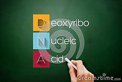 DNA - Deoxyribonucleic Acid acronym concept Stock Photo