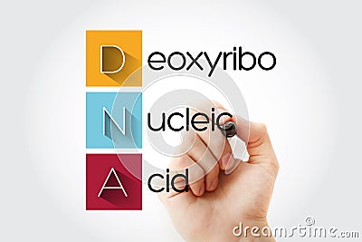 DNA - Deoxyribonucleic Acid acronym with marker, medical concept background Stock Photo