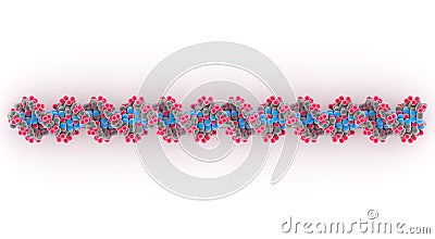 DNA or deoxyribonucleic acid Cartoon Illustration