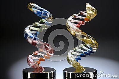 dna double helix, with close-up view on the base pairs Stock Photo