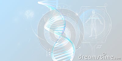 DNA double helix and human research infographic data. Stock Photo