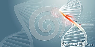 DNA double helix strands and scientific data infographics. Vector Illustration
