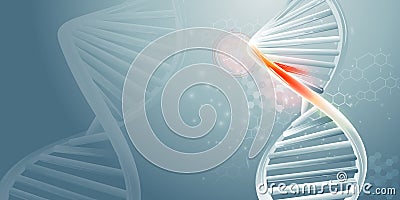 DNA double helix strands and scientific data infographics. Stock Photo