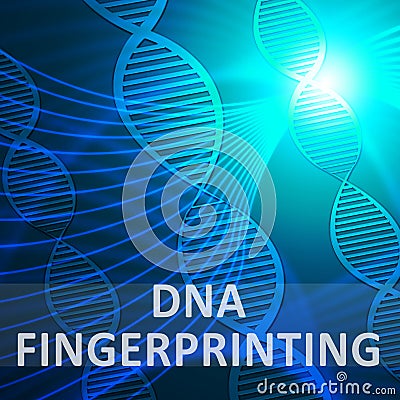 Dna Fingerprinting Meaning Genetic Profiling 3d Illustration Stock Photo