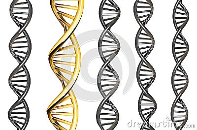 DNA gold outstanding from silver DNA, isolated on white background, 3d rendered Stock Photo