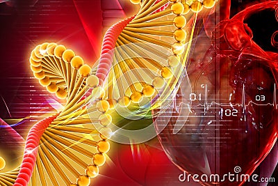 Dna with heart Stock Photo