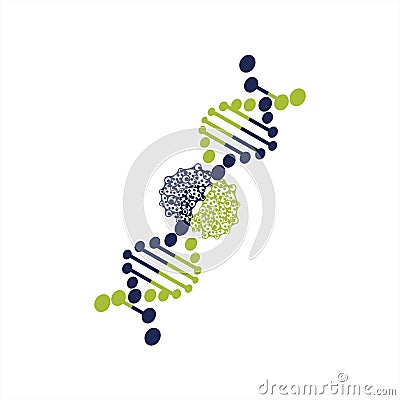 DNA helix biotechnology gene cell chromosome logo and vector icon Vector Illustration