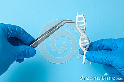 DNA helix research. Concept of genetic experiments on human biological code DNA. Scientist holding DNA helix and tweezers. Stock Photo