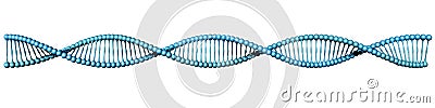 DNA helix on white Stock Photo