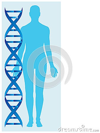 Dna and human body Vector Illustration