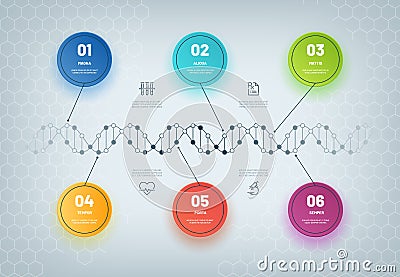 DNA infographic. Molecular chain diagram, medical step infographic, business workflow. Genetic model abstract concept Vector Illustration