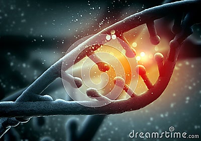 DNA molecule Stock Photo