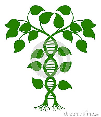 DNA nature plant Vector Illustration