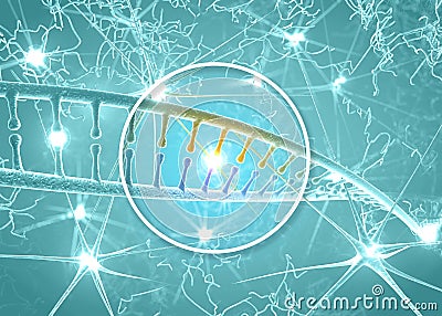 DNA and neurons, DNA restructuring, rewriting and continuous regeneration, increased activity of nerve cells Stock Photo