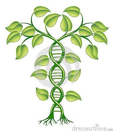 DNA plant concept Vector Illustration