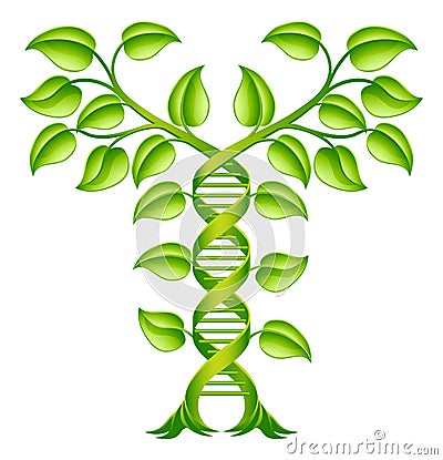 DNA Plant Double Helix Concept Vector Illustration