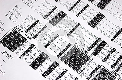 DNA sequence close-up Stock Photo