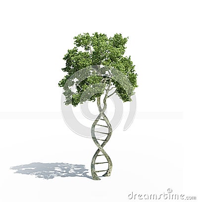 DNA shaped tree Stock Photo