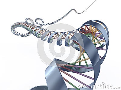 Dna spiral Stock Photo