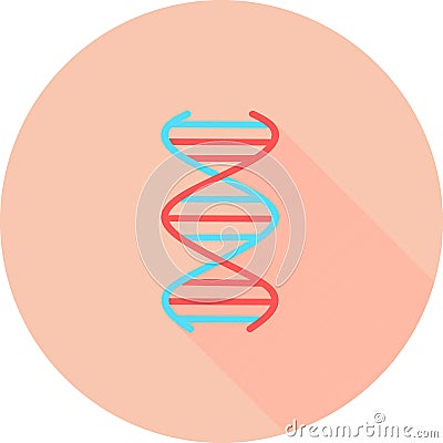 DNA spiral in circle icon with long shadows. Deoxyribonucleic, nucleic acid helix. Spiraling strands. Chromosome. Molecular biolog Cartoon Illustration
