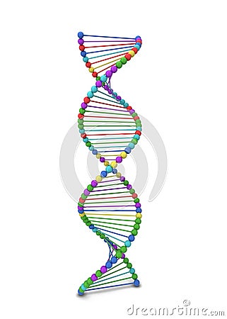 Dna spiral Cartoon Illustration