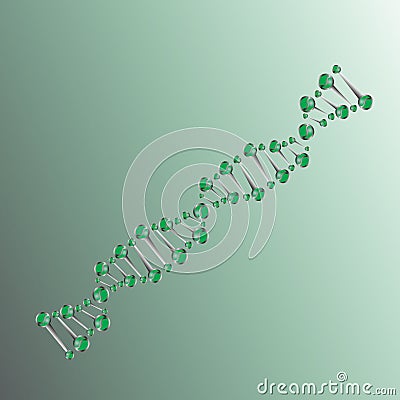 Dna strand on green background Vector Illustration