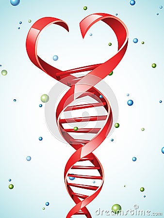 DNA strand in a shape of a heart Vector Illustration