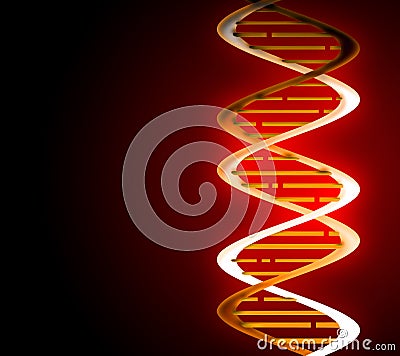 DNA strands Stock Photo