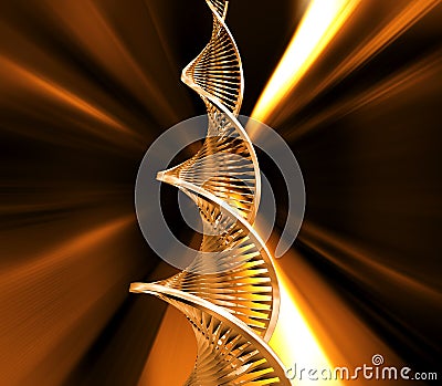 DNA strands Stock Photo