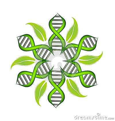 DNA Strands with leafs logo Vector Illustration