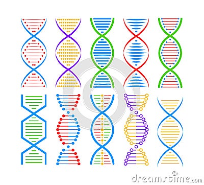 DNA structure Icon set. Structure molecule and cell, chromosome. Genetic engineering. Vector stock illustration Vector Illustration