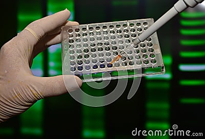 DNA testing in genetic laboratories. Stock Photo