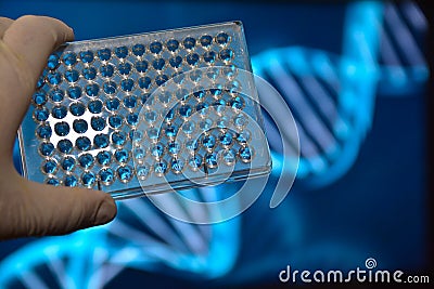 The DNA testing. Stock Photo