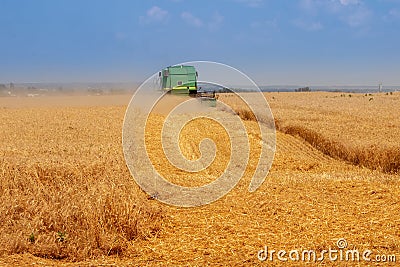 Dnipro. Ukraine 10 July 2021. harvesting wheat. Combine harvester collects spikelets of wheat. Agriculture Editorial Stock Photo